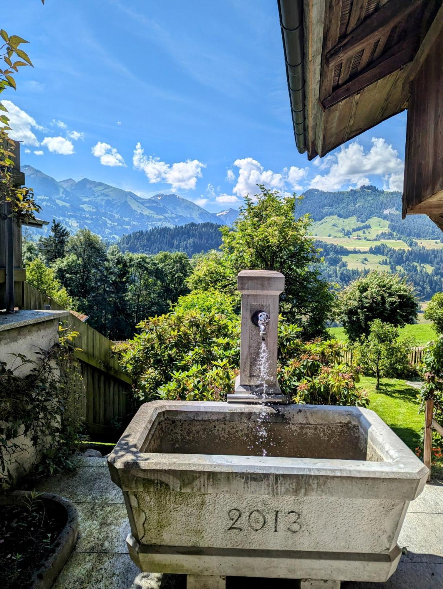Swiss Mountain-Valley View Lodge Erlenbach im Simmental Extérieur photo
