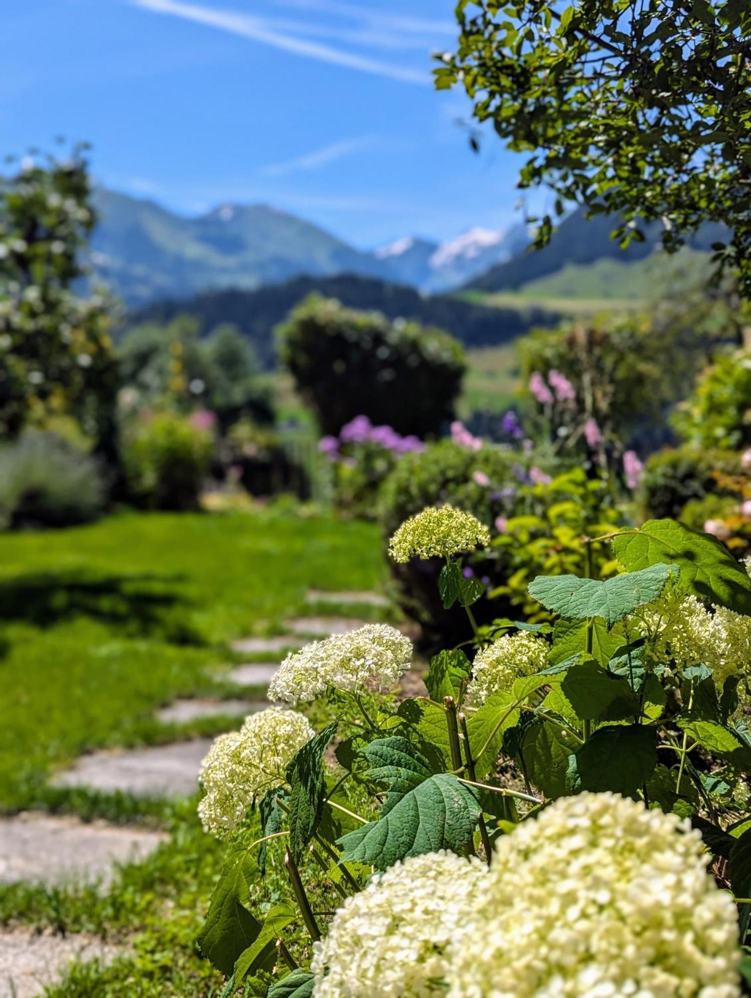 Swiss Mountain-Valley View Lodge Erlenbach im Simmental Extérieur photo