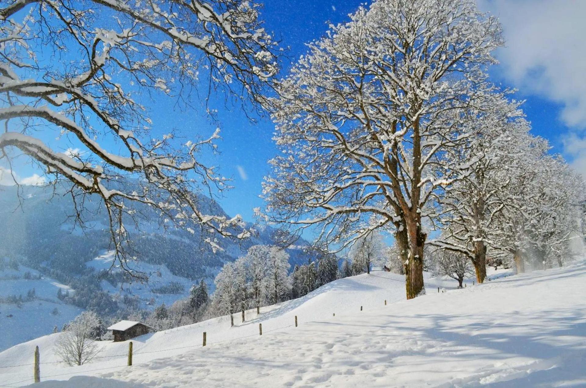 Swiss Mountain-Valley View Lodge Erlenbach im Simmental Extérieur photo