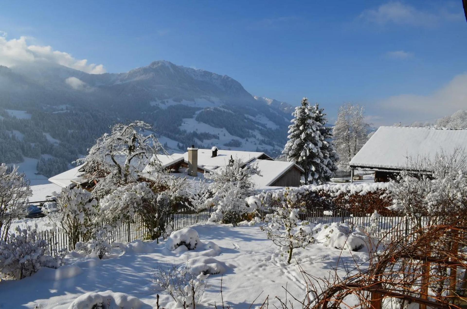 Swiss Mountain-Valley View Lodge Erlenbach im Simmental Extérieur photo
