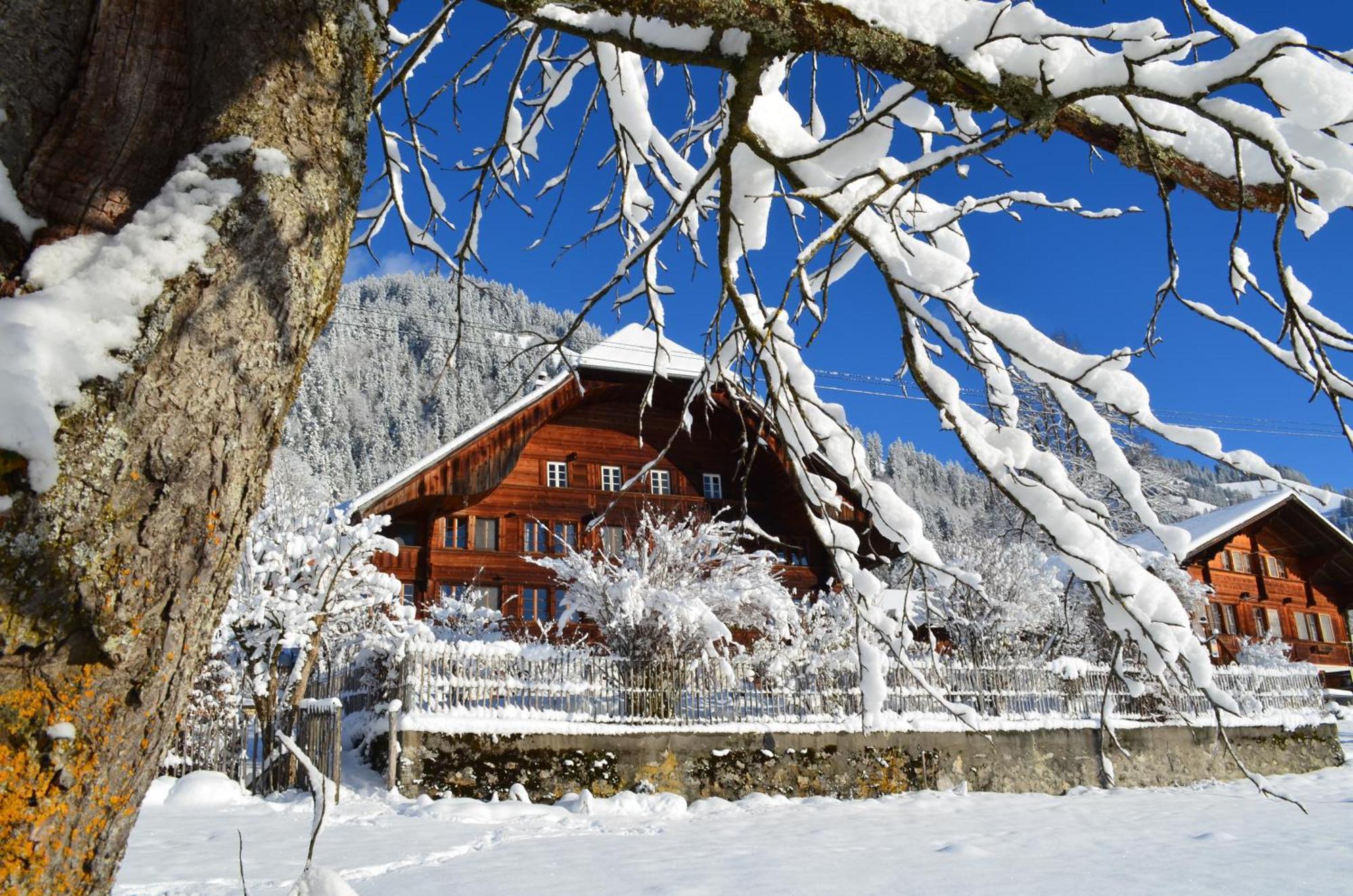 Swiss Mountain-Valley View Lodge Erlenbach im Simmental Extérieur photo